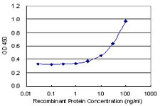 BMP2 Antibody in ELISA (ELISA)