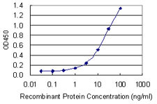 BMP2 Antibody in ELISA (ELISA)