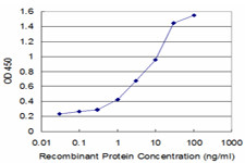 BMP5 Antibody in ELISA (ELISA)