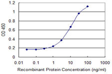 BMP5 Antibody in ELISA (ELISA)