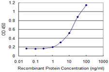 BMP5 Antibody in ELISA (ELISA)