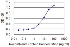 BMP5 Antibody in ELISA (ELISA)