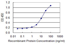 BMP5 Antibody in ELISA (ELISA)