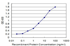 BMP5 Antibody in ELISA (ELISA)