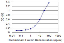 BMP5 Antibody in ELISA (ELISA)