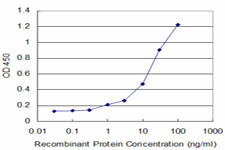 BMP5 Antibody in ELISA (ELISA)