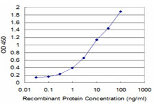 BMP5 Antibody in ELISA (ELISA)