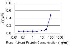 BMP7 Antibody in ELISA (ELISA)