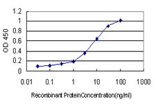 BMPR1B Antibody in ELISA (ELISA)