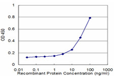 BMPR1B Antibody in ELISA (ELISA)