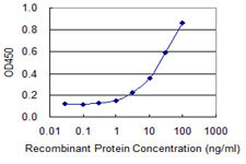 BMPR2 Antibody in ELISA (ELISA)