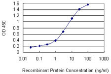 BMX Antibody in ELISA (ELISA)