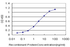 KLF9 Antibody in ELISA (ELISA)