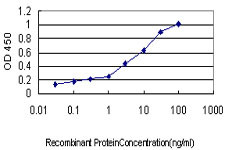 SERPING1 Antibody in ELISA (ELISA)