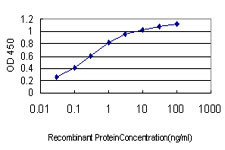 CA1 Antibody in ELISA (ELISA)