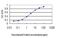 CA1 Antibody in ELISA (ELISA)