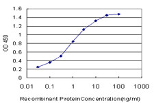 CA1 Antibody in ELISA (ELISA)