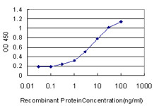 CA1 Antibody in ELISA (ELISA)