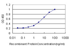 CA1 Antibody in ELISA (ELISA)