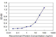 CALCA Antibody in ELISA (ELISA)