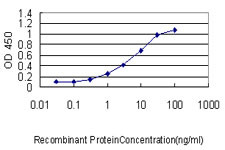 CALM2 Antibody in ELISA (ELISA)