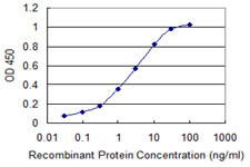 CALM3 Antibody in ELISA (ELISA)