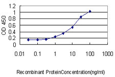 CAPG Antibody in ELISA (ELISA)