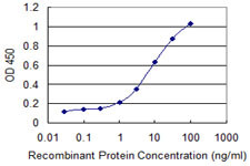 CAPN3 Antibody in ELISA (ELISA)