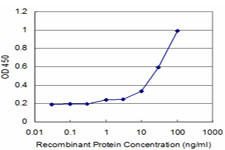 CASP3 Antibody in ELISA (ELISA)