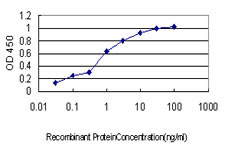 CASP10 Antibody in ELISA (ELISA)