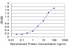 CASP10 Antibody in ELISA (ELISA)