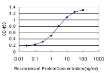 RUNX2 Antibody in ELISA (ELISA)