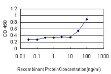 RUNX2 Antibody in ELISA (ELISA)