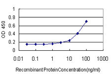 RUNX2 Antibody in ELISA (ELISA)