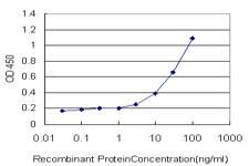 SERPINA6 Antibody in ELISA (ELISA)