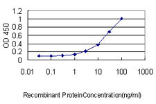 SERPINH1 Antibody in ELISA (ELISA)