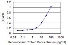 CD1B Antibody in ELISA (ELISA)