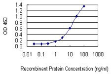 TNFRSF7 Antibody in ELISA (ELISA)