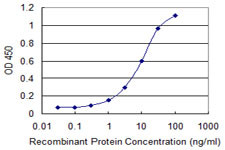 CD80 Antibody in ELISA (ELISA)