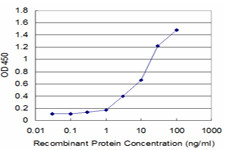 TNFRSF8 Antibody in ELISA (ELISA)