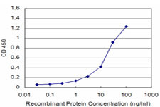 CD34 Antibody in ELISA (ELISA)