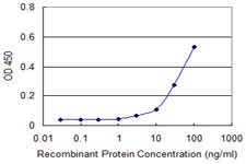 CDC2 Antibody in ELISA (ELISA)