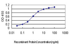 CDH17 Antibody in ELISA (ELISA)