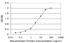 CDH17 Antibody in ELISA (ELISA)