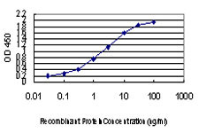 CDK8 Antibody in ELISA (ELISA)