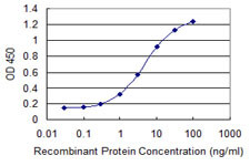 CDKN2D Antibody in ELISA (ELISA)