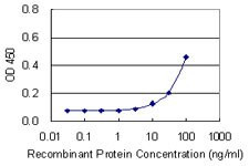 CDO1 Antibody in ELISA (ELISA)