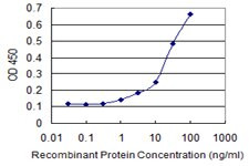 CHD1 Antibody in ELISA (ELISA)