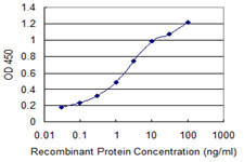 CHGA Antibody in ELISA (ELISA)