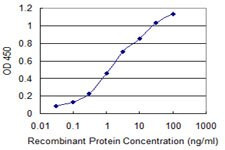 CHIT1 Antibody in ELISA (ELISA)